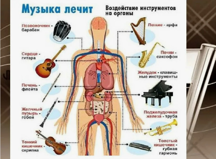 Как музыка влияет на человеческий организм?