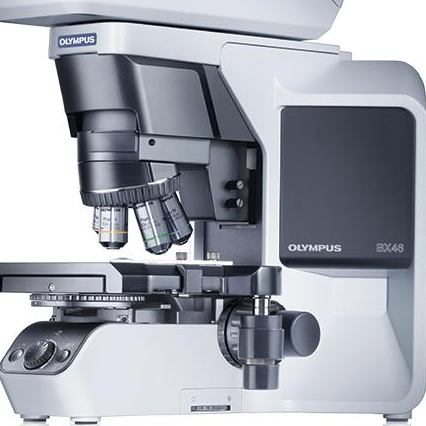 BX46 OLYMPUS